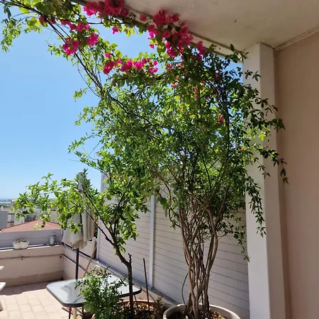 Apartment Sunshine Terrace