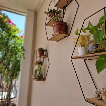 Sunshine Terrace Apartment