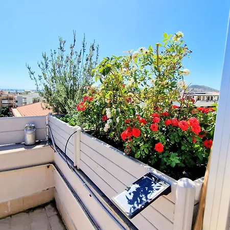 Sunshine Terrace קליארי